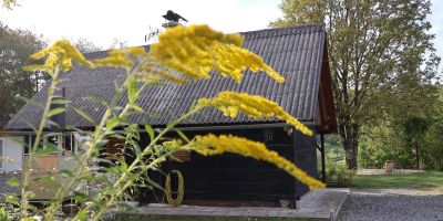 Family Friendly House With A Parking Space Zdihovo, Gorski Kotar - 20491 Zdihovo - foto 4