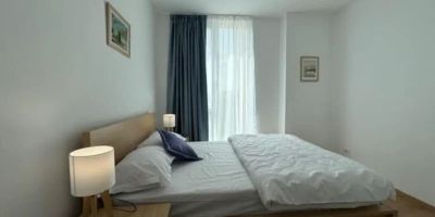 Apartament Joy City Stay Vivalia 7B-25 Timișoara - foto 2
