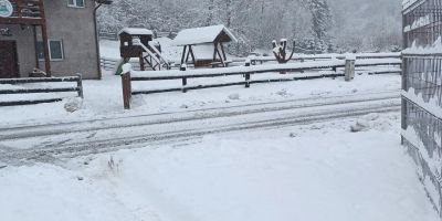 Casa Vânătorului Buzăiel - foto 3
