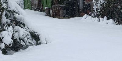 Casa Vânătorului Buzăiel - foto 5