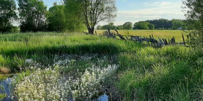 Agroturystyka Żubr - foto 3