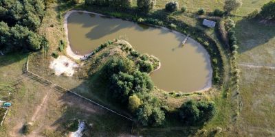 Agroturystyka Żubr - foto 4