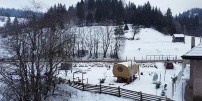 White Spring Glamping Câmpulung Moldovenesc - foto 4