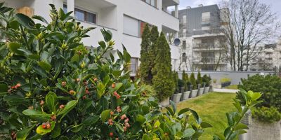 visit baltic - Platan Family CH12 - foto 3