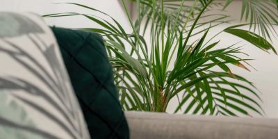 Legionów 61 | Elegancki apartament | Balkon, Garaż | Łódź - foto 5