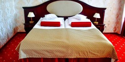 Hotel Zamek Królewski w Rydzynie - foto 3
