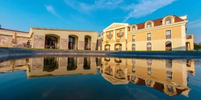 Hotel Cardinal-Domeniile Martinutzi Vințu de Jos - foto 2