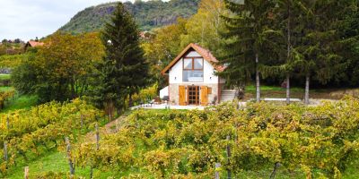 Hamvas Vendégház Somlóhegy - foto 3