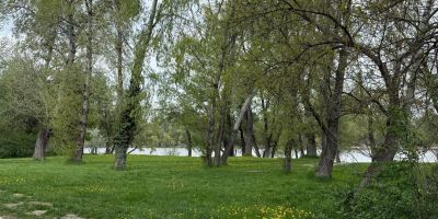 Kecó Apartman Dunabogdány - foto 4