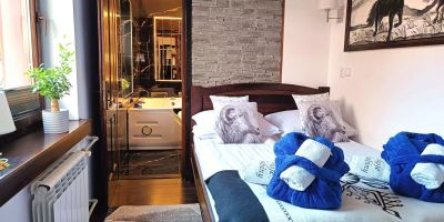 Apartament deluxe z wanną z hydromasażami Szczawnica - foto 2