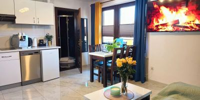 Apartament deluxe z wanną z hydromasażami Szczawnica - foto 4