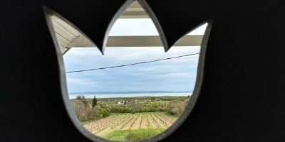 Haptapta Ház Balatonudvari - foto 5