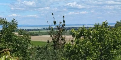 Rizling Apartman Balatonendréd - foto 5