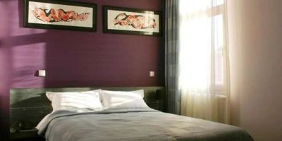 Hotel Diafan Baia Mare - foto 5