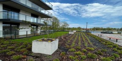 Green Apartament Dziwnów - foto 2