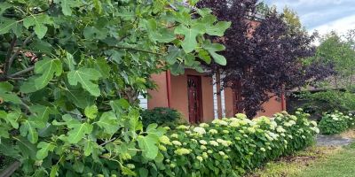 Örvényes Elizabet Üdülőház - foto 2