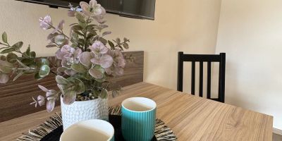Nyéki Fészek Apartmanház Kápolnásnyék - foto 3