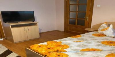 Apartament Darya Băile Felix - foto 3
