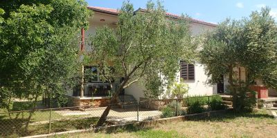 Apartment Nataša sd-198 Starigrad Paklenica - foto 3
