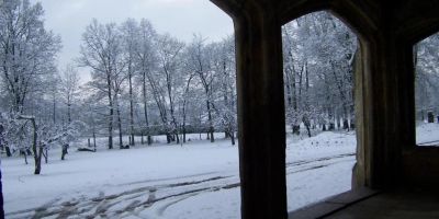 Pałac Dąbrowica Jelenia Góra - foto 5