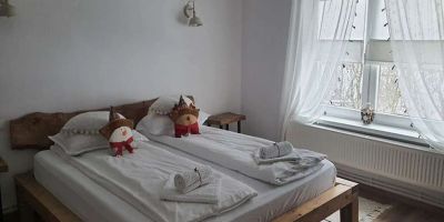 Casa de oaspeți Roua Land Vulcan - foto 3