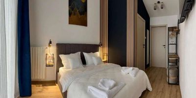 Villa Ambition Zălan - foto 2