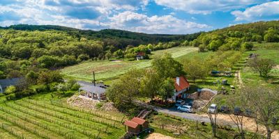 Tagyon Birtok Tulipán Apartmanház Tagyonhegy - foto 5