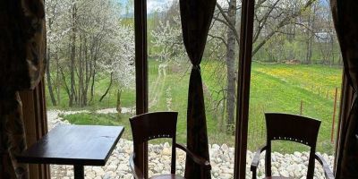 Cabana Crângul Verde Poienari - foto 4
