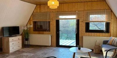 Cabana Crângul Verde Poienari - foto 5