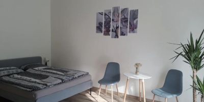Lepkék Apartman Budapest - foto 2