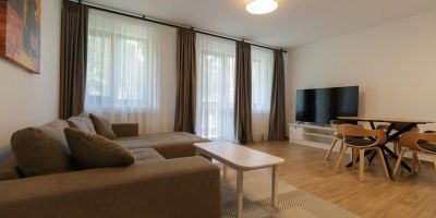 Apartament White Valey Retreat Two Bușteni - foto 4