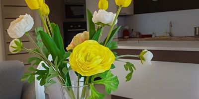 Apartament SilentHome Święta Katarzyna - foto 3