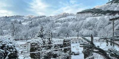 Casa Maria Bran - foto 3