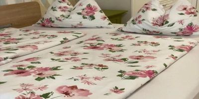 Apartament Olivia Studio Oradea - foto 3