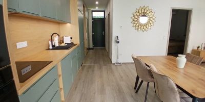 Fenyvesliget Apartmanok 3 Balatonfenyves - foto 2