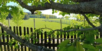 Agroturystyka błogoStany, dawniej Leszczynki Stankowice - foto 5