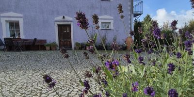 Agroturystyka błogoStany, dawniej Leszczynki Stankowice - foto 3