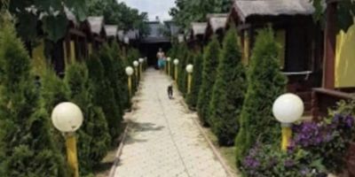Cazare Balliu Corbu - foto 3