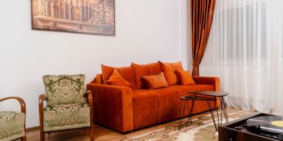 IBA Apartment Buşteni - foto 4