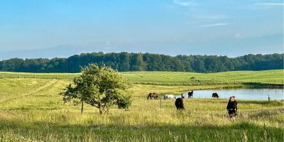 Vendégház Sianów - PPL346 - foto 4