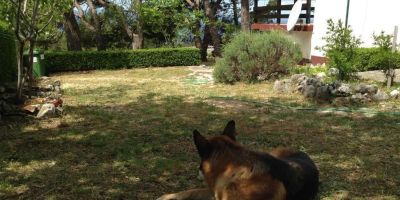 Holiday House With A Parking Space Bast, Makarska - 23316 Bast - foto 2