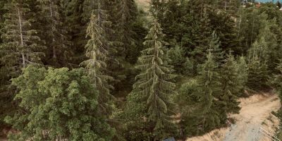 TogetherNest - Cedar Mătișești - foto 3