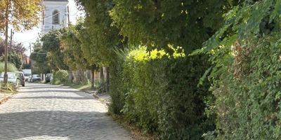 Monostor Anno Apartman Szigetmonostor - foto 4