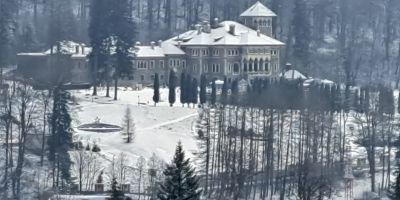 Pensiunea Navigator Bușteni - foto 3