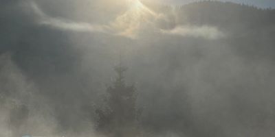 A Frames By Pensiunea Merișor - foto 2