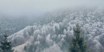 A Frames By Pensiunea Merișor - foto 3