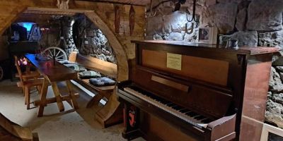 Agroturystyka Magnoliowy Zakątek Idzików - foto 4