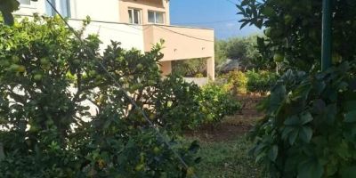 Apartments Ornela Slatine - foto 4
