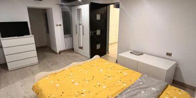 Casa Boitor Jidvei - foto 4