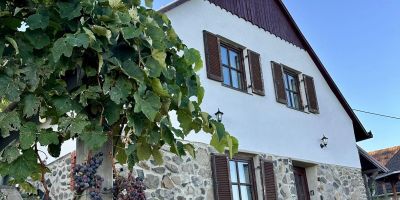 Fenn a Hegyen Vendégház Somló Somlóvásárhely - foto 3